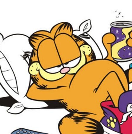 《加菲猫/Garfield 》吉姆·戴维斯创作  MOBI版电子漫画【01-10卷完结】—–Kindle/JPG/Mobi/PDF大向